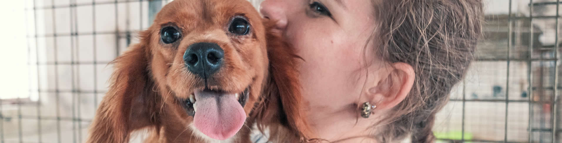 door-to-door pet transport with woman and dog